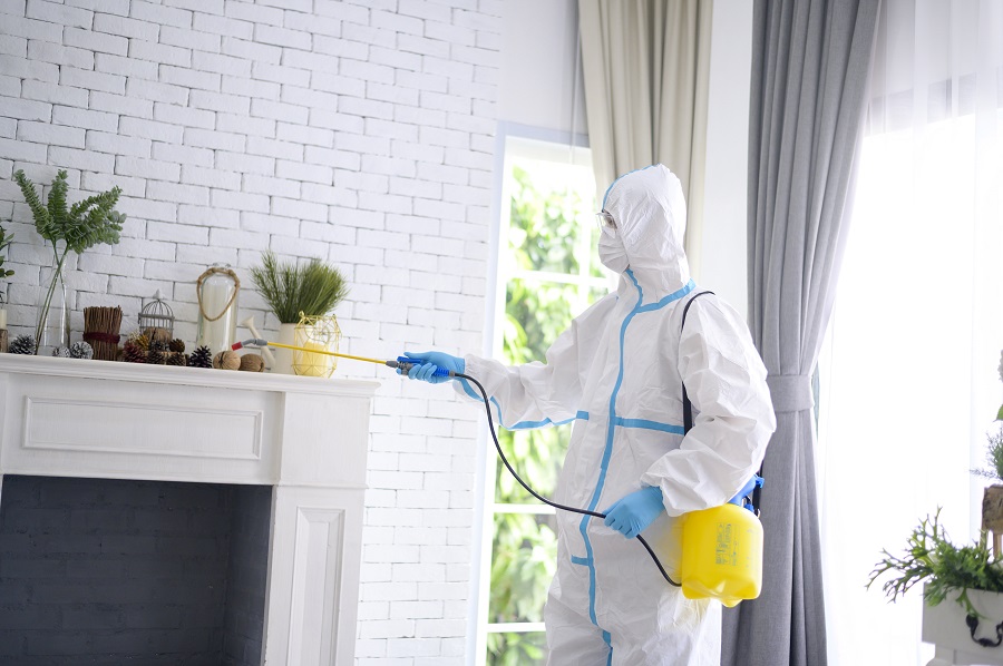 Customer-Backed Hawx Pest Control Reviews You Can Rely On